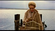 The Birds (1963)Tippi Hedren, West Side Road, Bodega Bay, California and water
